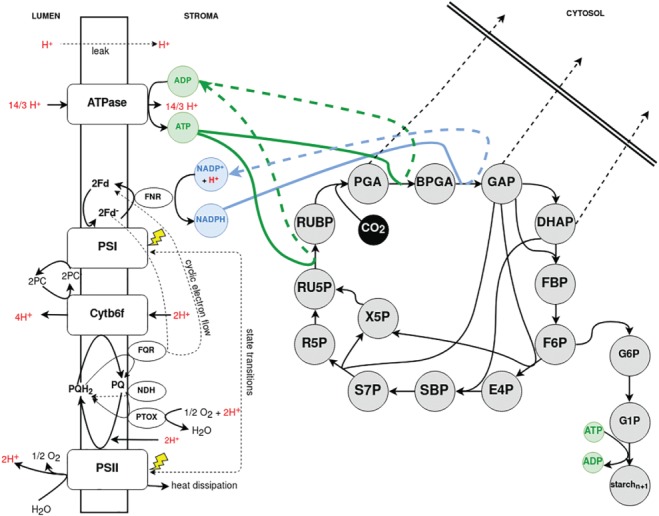 PPL-12962-FIG-0001-c