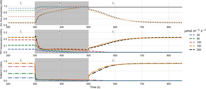 PPL-12962-FIG-0002-c