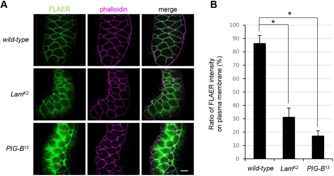 Fig. 6.