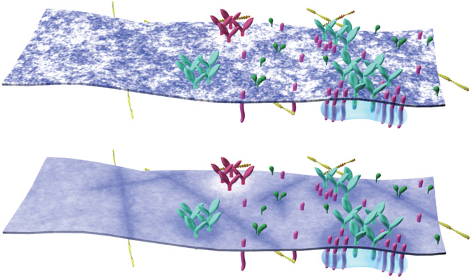 Figure 5: