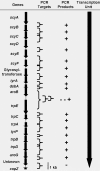FIG. 5.