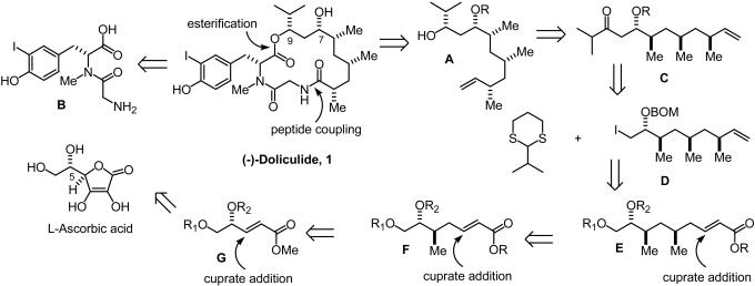 Fig. 2.