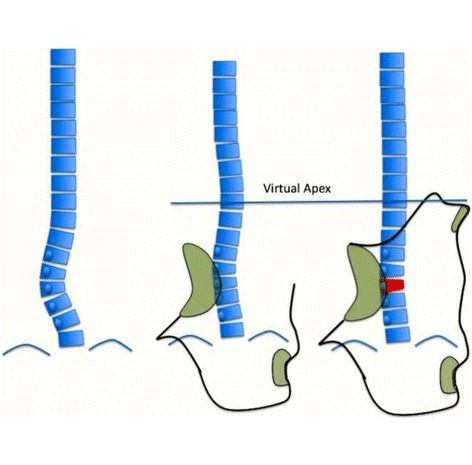 Fig. 50