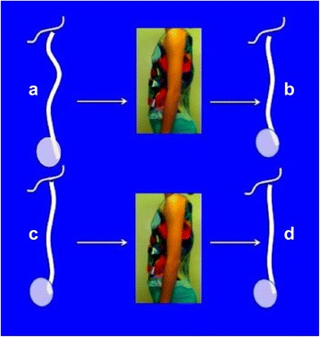 Fig. 13