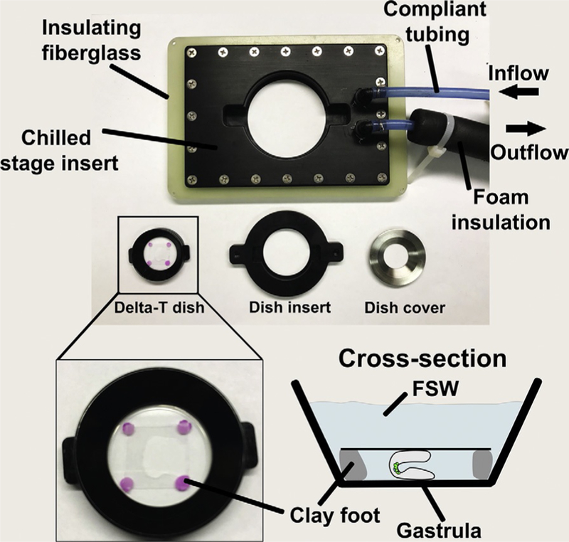 FIG. 6