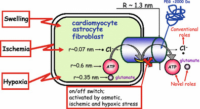 Fig. 10