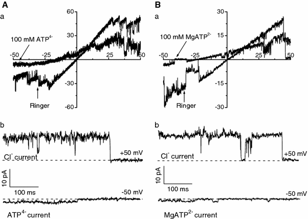 Fig. 7
