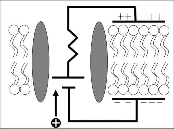 Fig. 12: