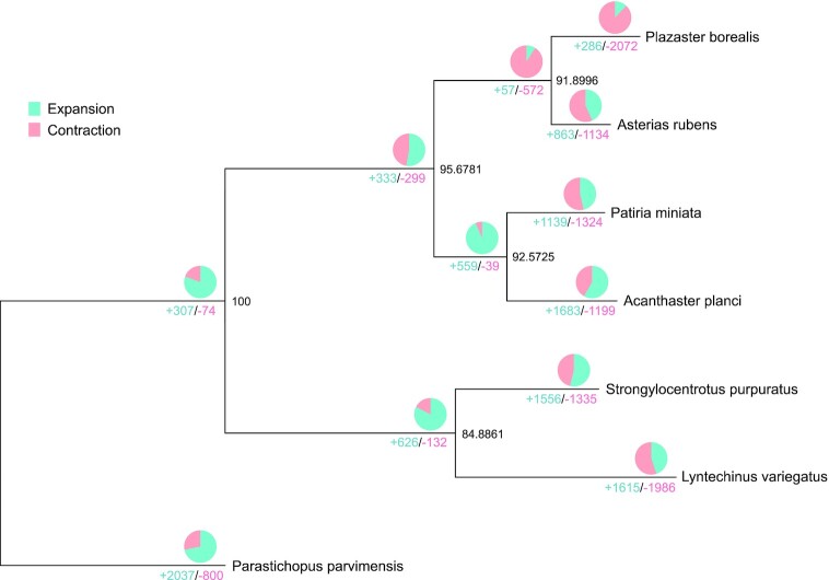 Figure 2: