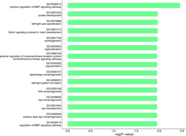 Figure 4: