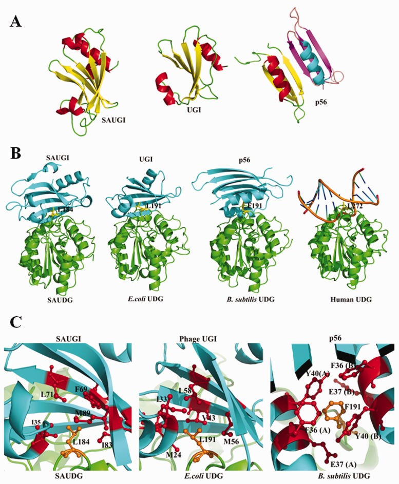 Figure 5.