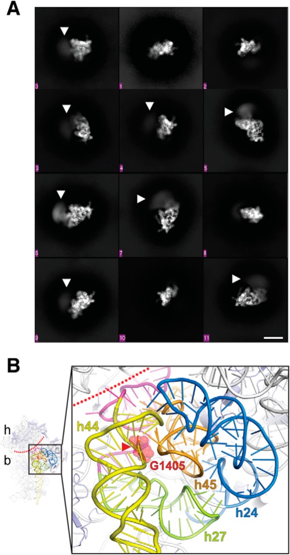 Figure 6.