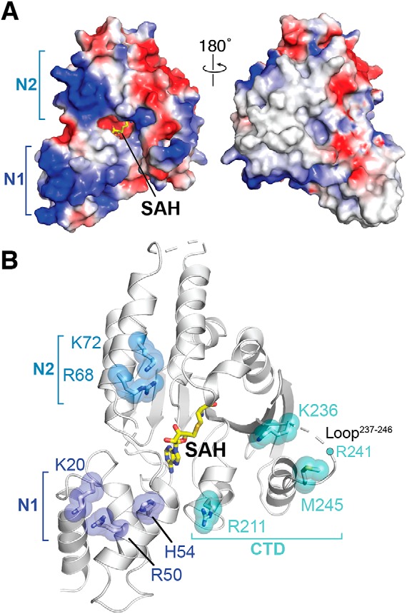 Figure 3.