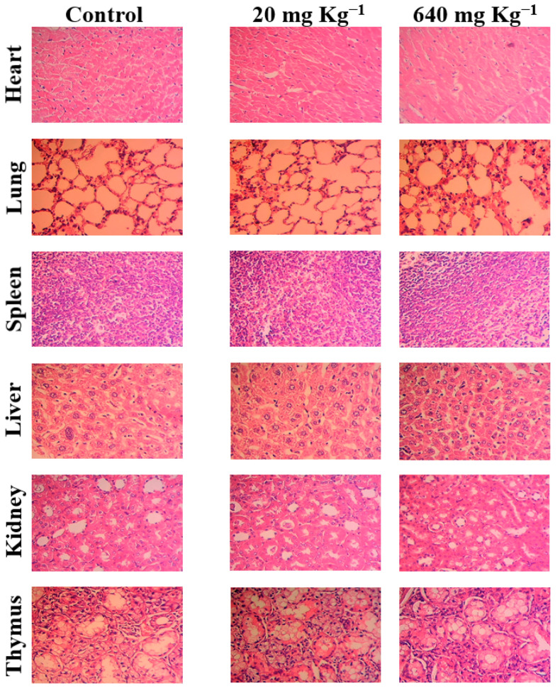 Figure 13