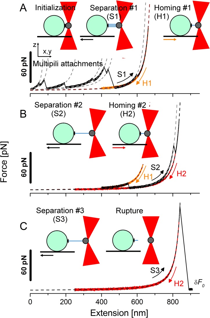 Fig 4