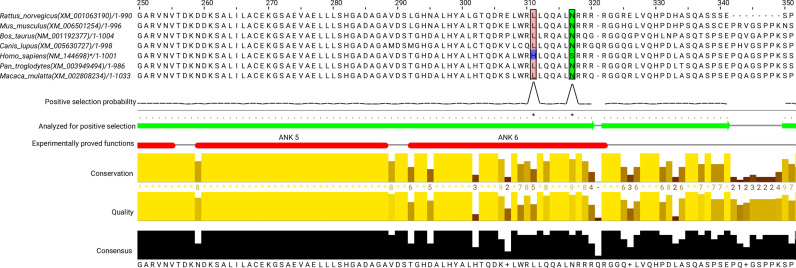 Figure 4.