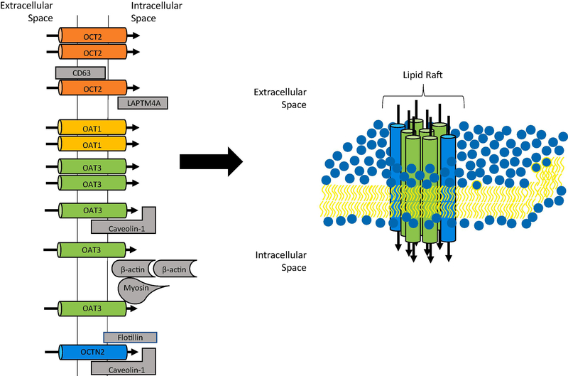 Figure 2: