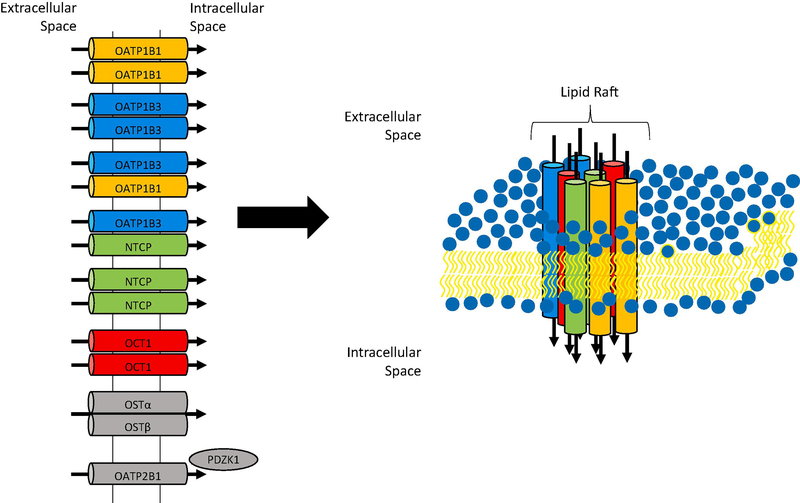 Figure 1: