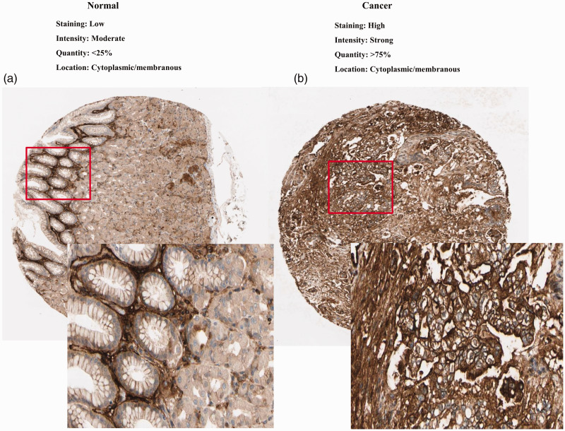 Figure 3.