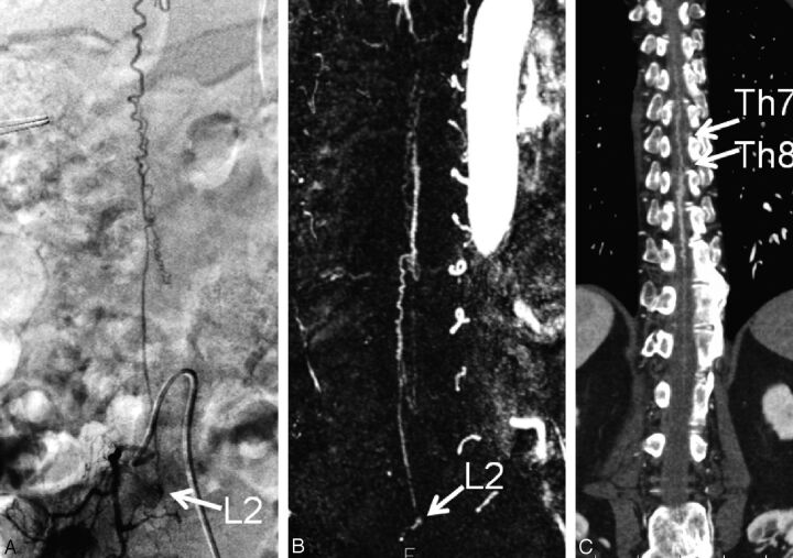 Fig 3.