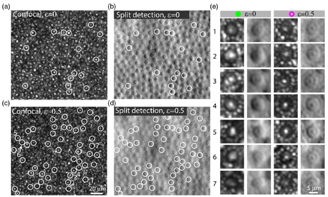 Fig. 4.