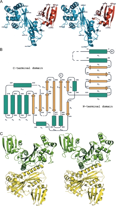 Figure 1.