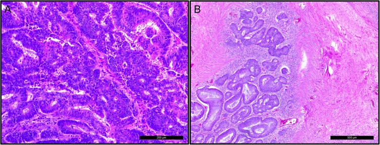 Figure 4: