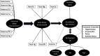 Figure 2 is a flowchart with six steps. Step 1: Maternal metal environment, including maternal iron, maternal magnesium, maternal zinc, maternal calcium, maternal lead, and maternal mercury, leads to fetal metal environment. Step 2: Fetal Metal Environment, including Fetal Iron, Fetal Magnesium, Fetal Selenium, Fetal Mercury, Fetal Lead, and Fetal Arsenic Lead, to Gestational Age (Weeks). Step 3: Gestational age (weeks) has a bidirectional relationship with birth weight (grams). Step 4: Prenatal visits lead to gestational age (weeks). Step 5: prenatal visits, sex, and age lead to birth weight (grams). Step 6: Evaluated covariates, including hypertension, income or socioeconomic status, parity, and anemia status, lead to gestational age (weeks) and birth weight (grams).