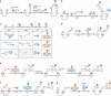 Key reaction steps of the seven methods to make homogenous dual-payload conjugates enabled by amino acids with orthogonal activities. Reactive residuals on antibodies, functional groups on branched linkers and payloads with different MOA are highlighted.