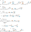 Key reaction steps of the five methods to make homogenous dual-payload conjugates enabled by branched multifunctional linkers. Reactive residuals on antibodies, functional groups on branched linkers and payloads with different MOA are highlighted.