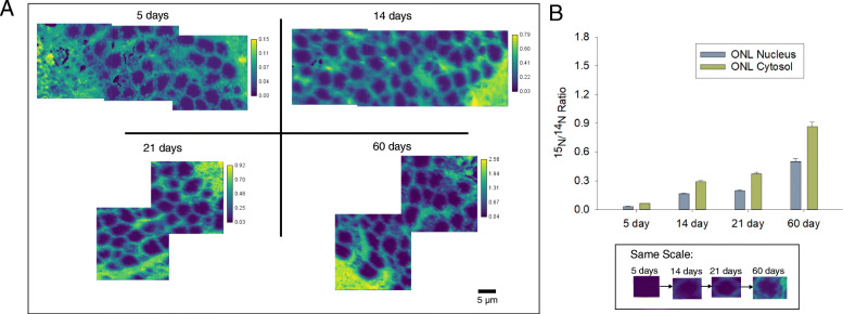 Fig. 2