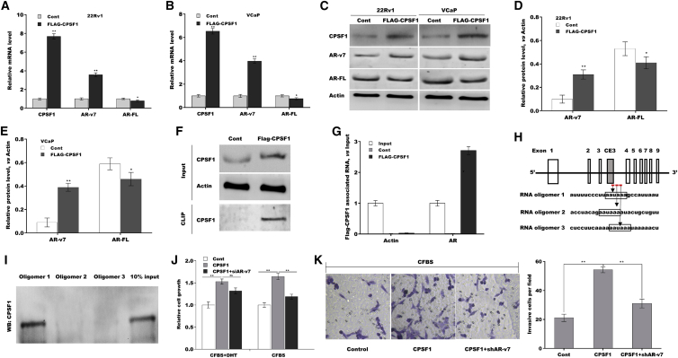 Figure 5