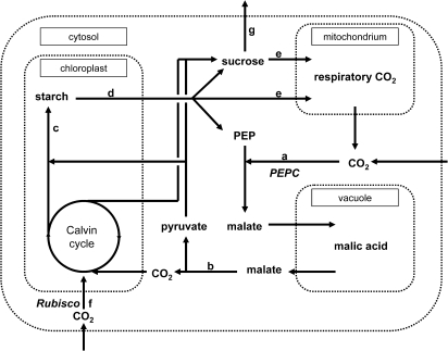 Fig. 1.