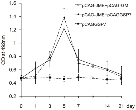 Figure 11