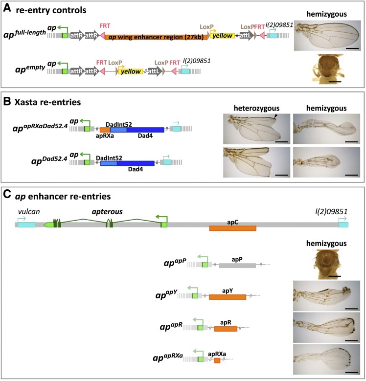 Figure 6