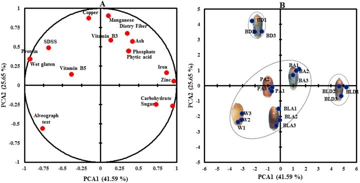 Fig 6