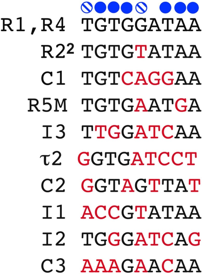 FIGURE 1