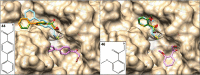 Fig. 8