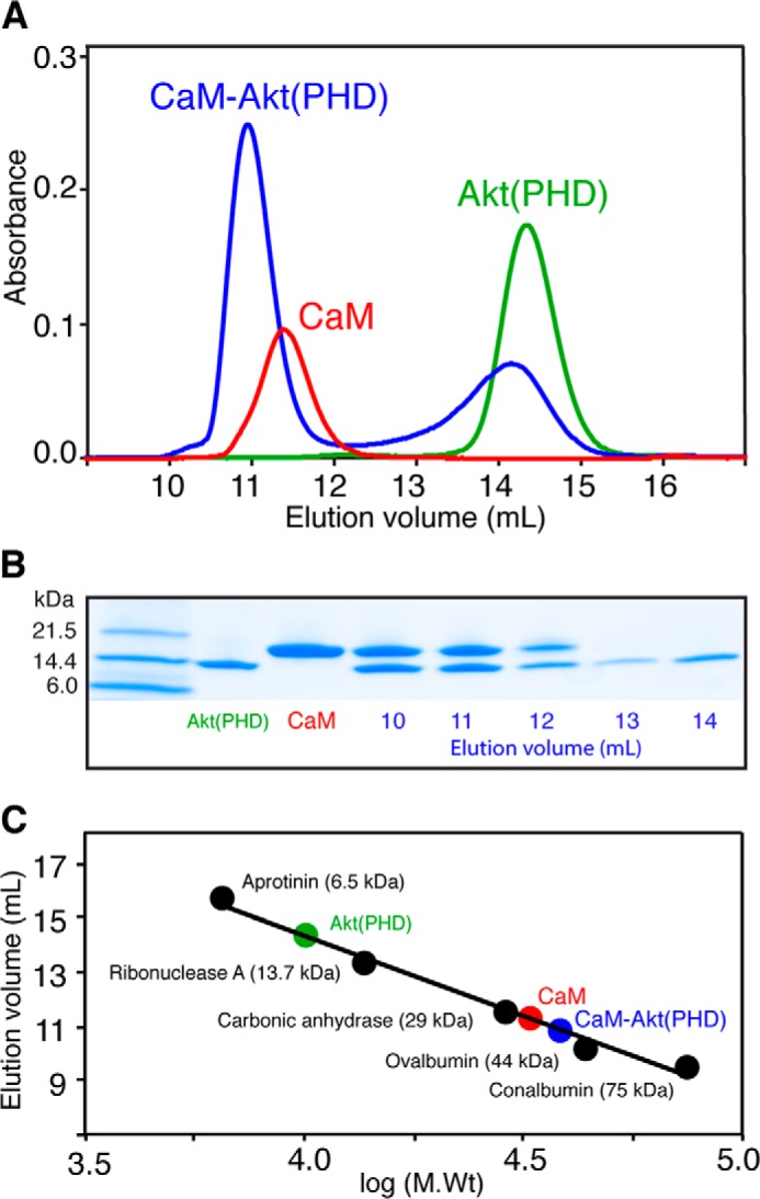 FIGURE 2.