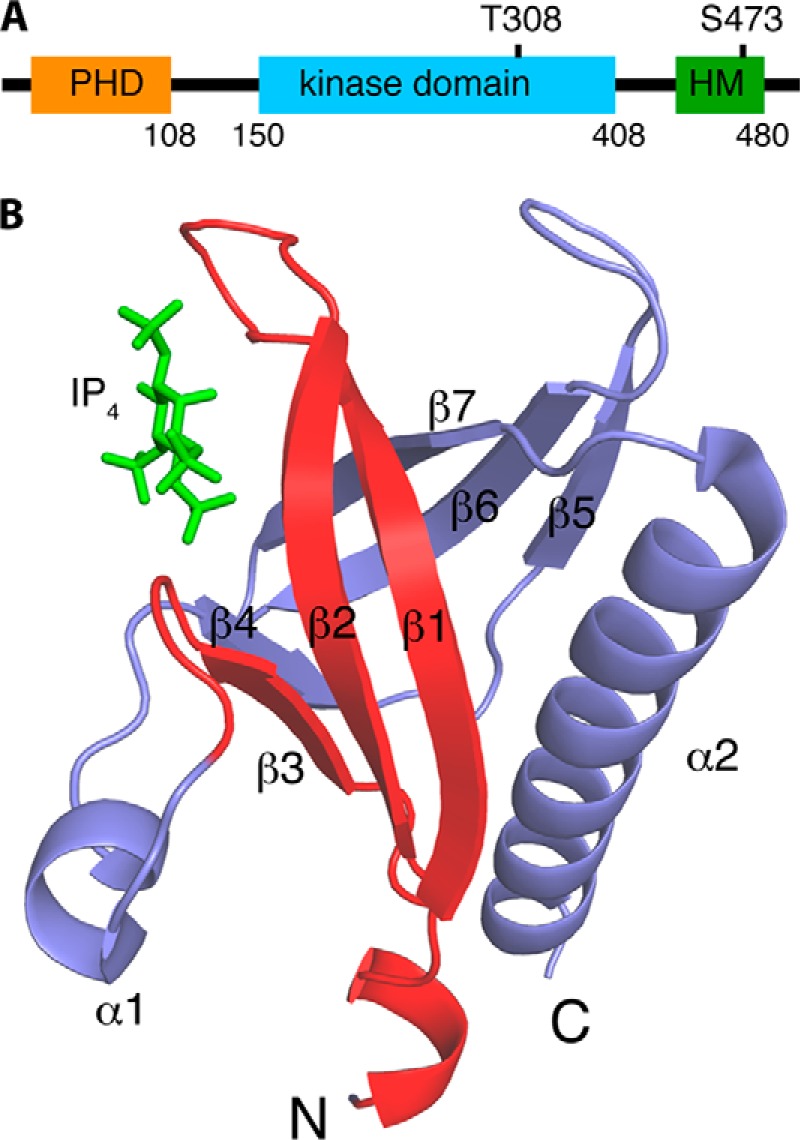 FIGURE 1.