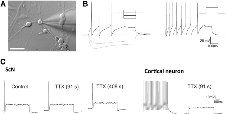 FIG. 4.