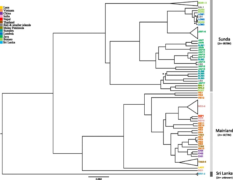 Fig. 3