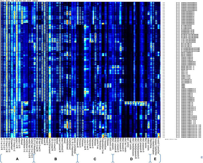 FIGURE 3