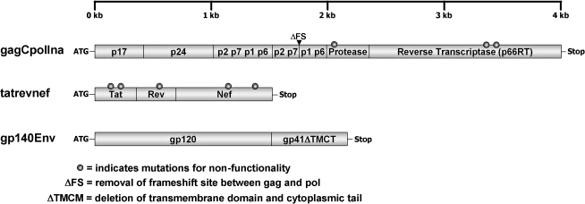 FIG. 1.