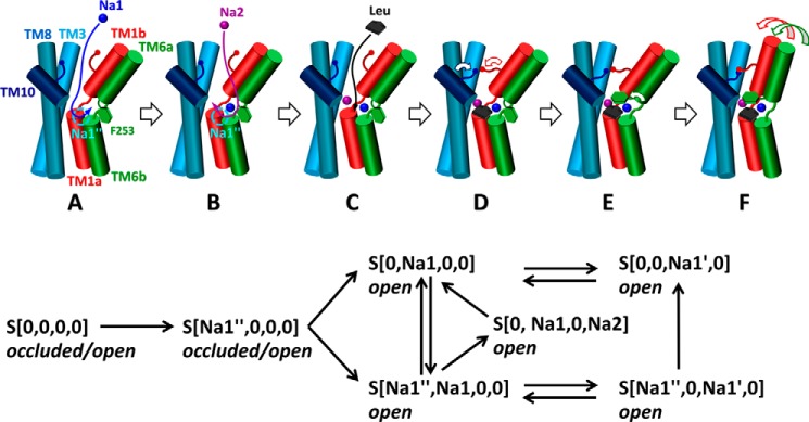 FIGURE 7.