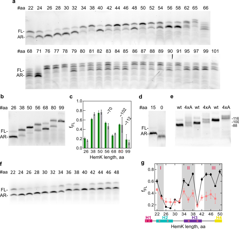 Figure 1—figure supplement 1.