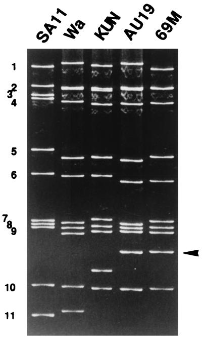 FIG. 1