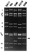 FIG. 1