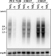 FIG. 7.