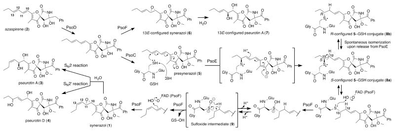 Scheme 1